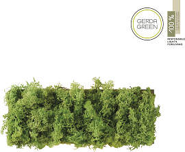 JUST LIGHT Wandleuchte "GREEN CARL",