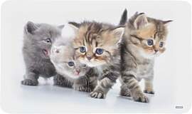 Kesper 31220 Frühstücksbrettchen KATZE aus