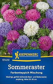 Kiepenkerl 101425 Sommerastersamen - Saatgut für