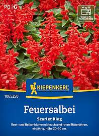 Kiepenkerl Feuersalbeisamen Scarlet King 1065250 - 