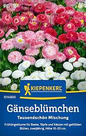 Kiepenkerl Gänseblümchensamen Tausendschön