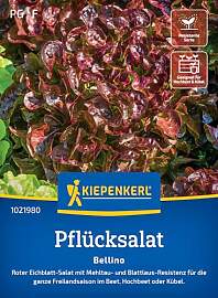 Kiepenkerl Pflücksalatsamen Bellino 1021980 –