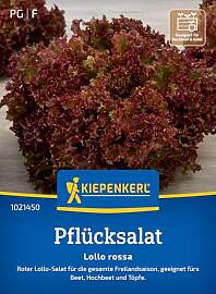 Kiepenkerl Pflücksalatsamen Lollo rossa 1021450 - 