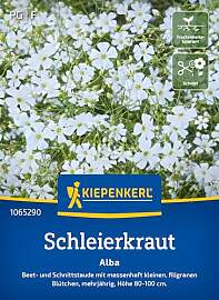 Kiepenkerl Schleierkrautsamen Alba 1065290 - Beet- 