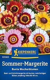 Kiepenkerl Sommer-Margeritensamen Bunte