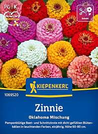Kiepenkerl Zinniensamen Oklahoma Mischung 1069520
