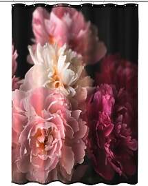 Kleine Wolke Rosemarie