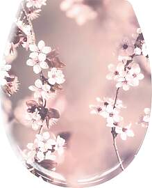 Kleine Wolke WC-Sitz Blossom Nelke 37x 45 cm