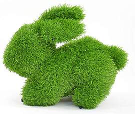 Kögler 53267 - AniPlants Hase, Deko-Figur aus