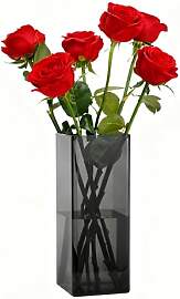 Koelaa Vase, Acryl Quadratische Grau Transparente