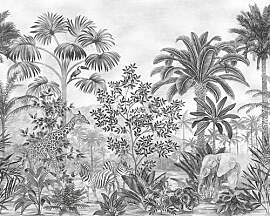 Komar Vlies Fototapete - Jungle Evolution -