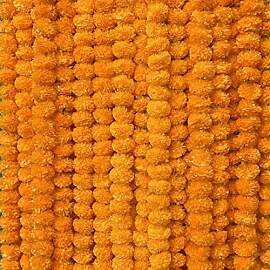 Krati Exports 10 Stück – 1,5 m