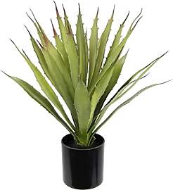 Künstliche Agave Aloe Vera im Topf Kunstpflanze