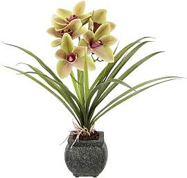Künstliche Cymbidium-Orchidee 40cm mit Blätter