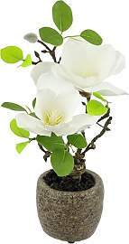 Künstliche Magnolie im Topf 33 cm wie echt Deko