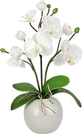 Künstliche Orchidee in Schale 35cm Kunstblume