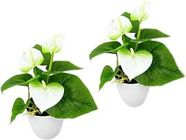Künstliche Pflanze Mini Anthurium-Pflanze im Topf 