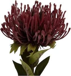 Künstliche Pflanze Present Time Protea Flower