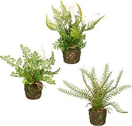 Künstliche Zimmerpflanze CREATIV GREEN "Set