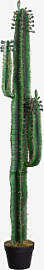 Künstlicher Dekorativer Kaktus ↑155 Cm Cereus