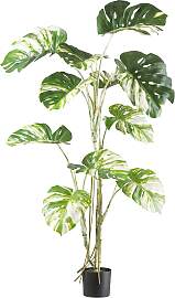 Kunstbaum CREATIV GREEN "Monstera deliciosa