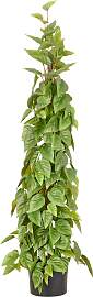 Kunstbaum CREATIV GREEN "Philodendron