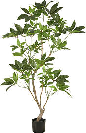 Kunstbaum CREATIV GREEN "Zimmeraralie",