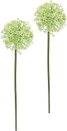 Kunstblume Allium Zierlauch Kugelblume Zweig