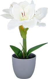 Kunstblume CREATIV GREEN "Amaryllis",