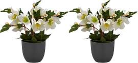Kunstblume CREATIV GREEN "Christrose",