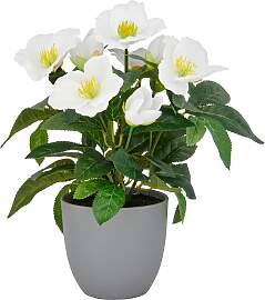 Kunstblume CREATIV GREEN "Christrose",