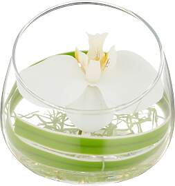 Kunstblume CREATIV GREEN "Glasgefäß mit