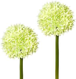 Kunstblume CREATIV GREEN, grün, H:65cm,