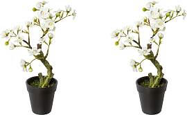 Kunstblume CREATIV GREEN "Mandelbonsai im