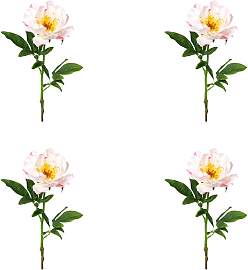Kunstblume CREATIV GREEN "Peonie", rosa, 