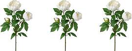 Kunstblume CREATIV GREEN "Peonienzweig", 