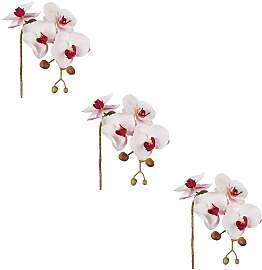 Kunstblume CREATIV GREEN "Phalaenopsis
