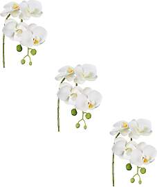 Kunstblume CREATIV GREEN "Phalaenopsis