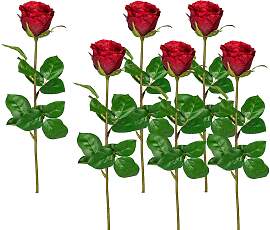 Kunstblume CREATIV GREEN, rot, H:69cm, Kunststoff, 