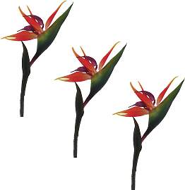 Kunstblume CREATIV GREEN "Strelizie",