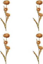 Kunstblume CREATIV GREEN "Strohblume",