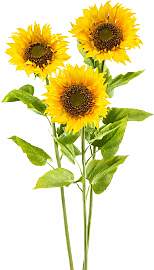 Kunstblume CREATIV GREEN "XL", gelb,
