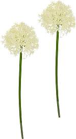 Kunstblume I.GE.A. "Allium Zierlauch",
