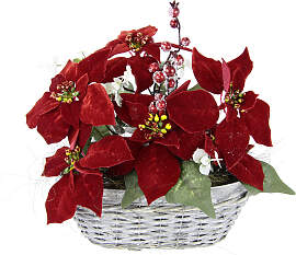 Kunstblume I.GE.A. "Arrangement", rot,