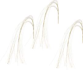 Kunstblume I.GE.A. "Graszweig", gold