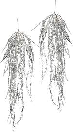 Kunstblume I.GE.A. "Perlenschnur",