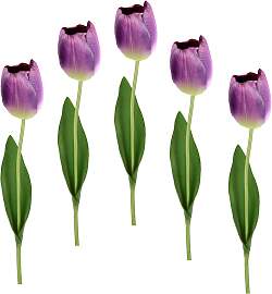 Kunstblume I.GE.A. "Real Touch Tulpen",