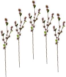 Kunstblume I.GE.A. "Zaubernuss", rot
