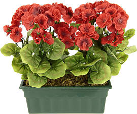 Kunstblume MY HOME "Geranie", rot,