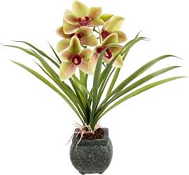 Kunstblume OTTO HOME "Orchidee", bunt